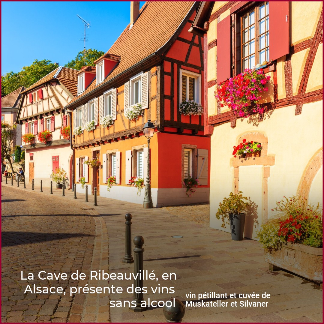 Découvrez ce vin blanc d'Alsace désalcoolisé de la cave de Ribeauvillé