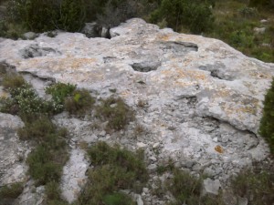 Kalkhaltiger Steinboden in La Clape