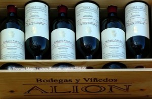 068BJ20010228D0033,Reise,Spanien,Bodegas,-Wein,Bodega-Alion,Bodega-+-Vinedos-Alion,-Penafiel